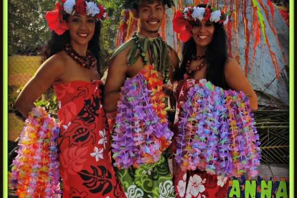aloha islander dancers events